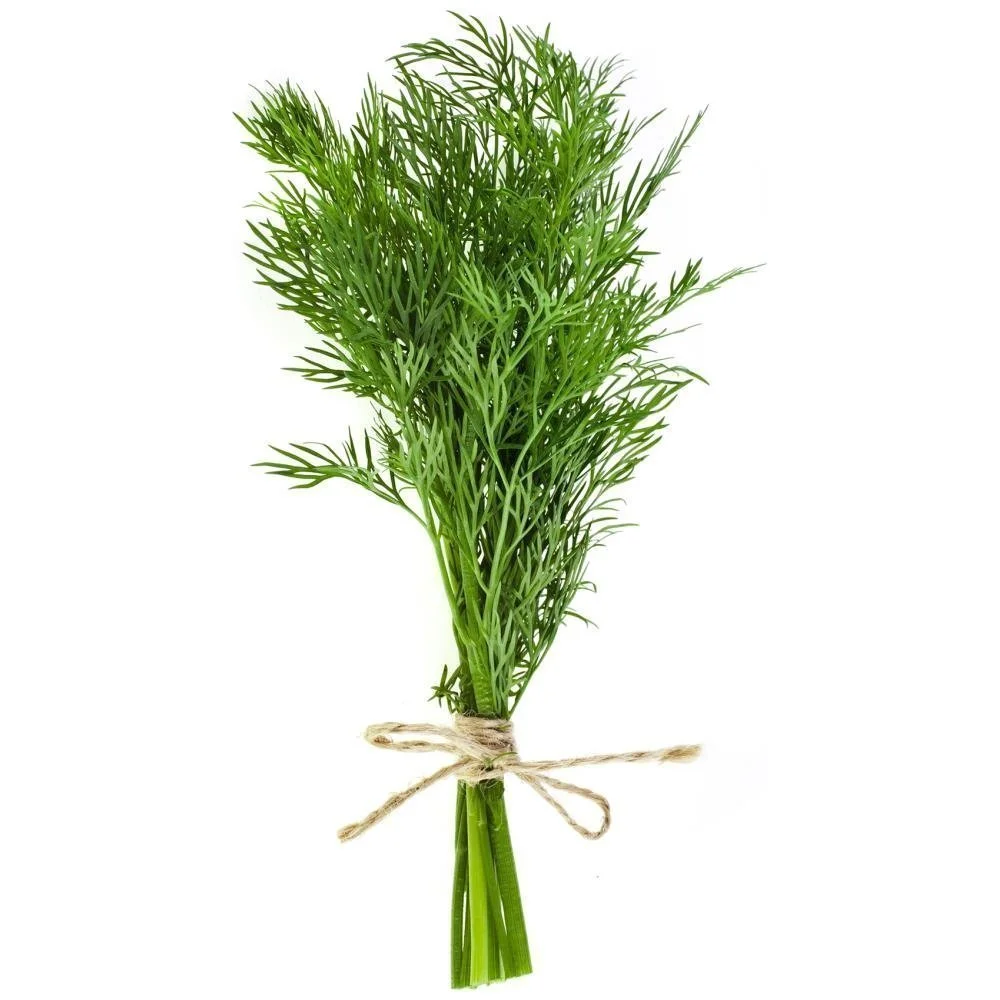 ccfda2b4-5320-4a54-8360-cdeda9f46cf1_E1